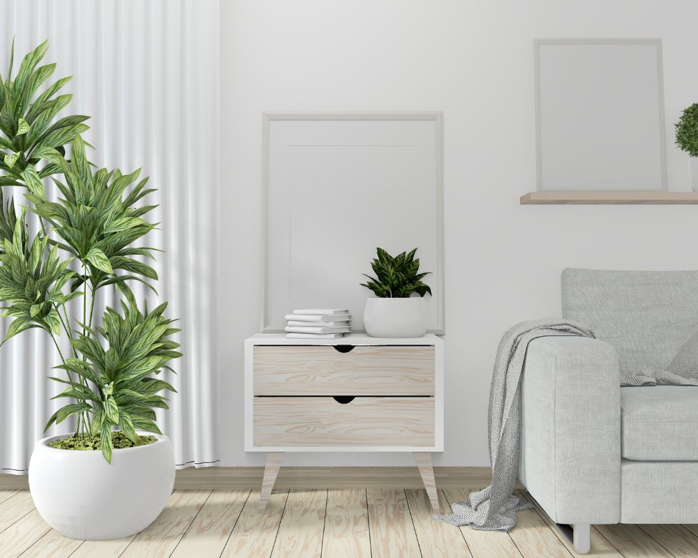 Home Decor